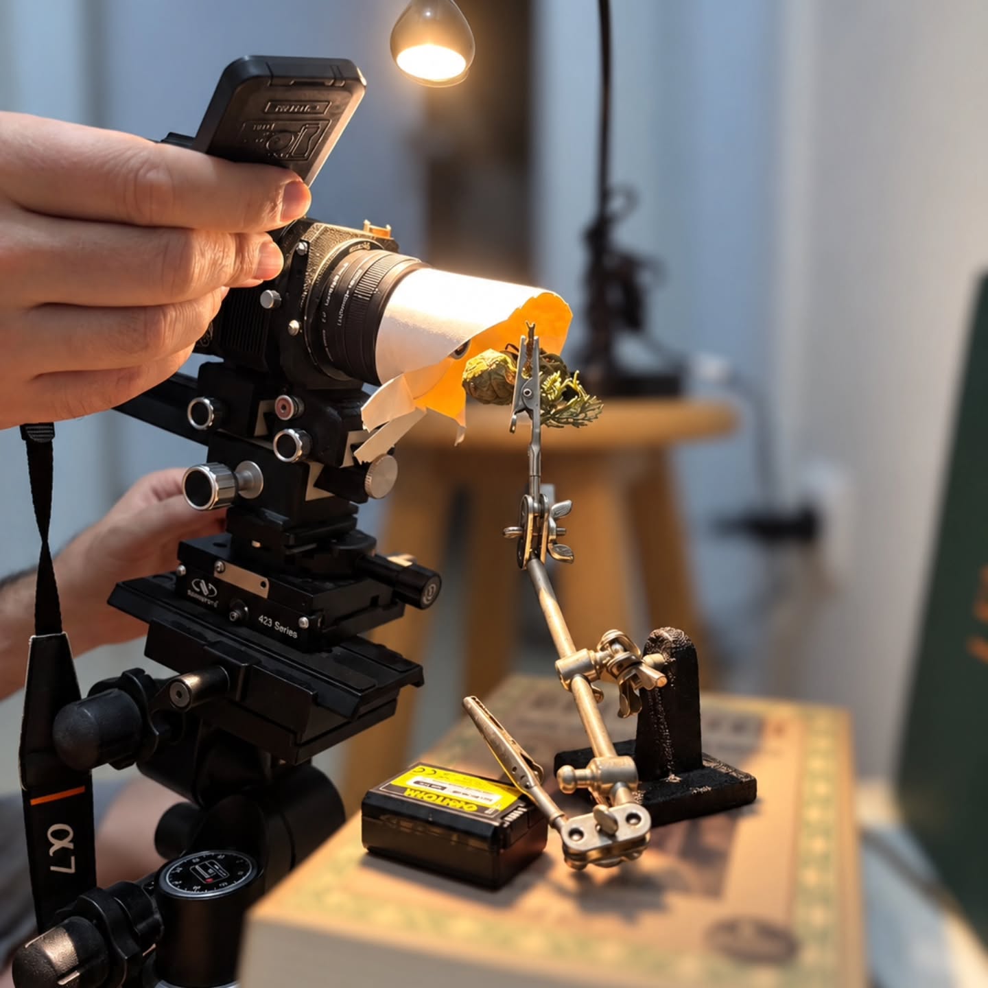 Behind the scenes of my last two spider shoots. A mini studio quickly set up in a quiet part of the house, away from vibrations and wooden parquet flooring.

The setup: a Berlebach wooden tripod, Manfrotto 410 geared head, Newport 423 micrometer stage, Pentax bellows, and a Lomo 3.7X microscope objective. Lighting: an IKEA Jansjö LED desk lamp with a paper cup diffuser.

For more details and shooting techniques, visit https://makrodunyasi.com/

Son iki örümcek çekimimin kamera arkası. Evin titreşimden uzak, ahşap parke olmayan bir bölümünde hızlıca kurduğum mini stüdyo.

Kurulum: Berlebach ahşap tripod, Manfrotto 410 dişli tripod kafası, Newport 423 mikrometreli ray, Pentax körük ve Lomo 3.7X mikroskop objektifi. Aydınlatma: kağıt bardak difüzörle birlikte IKEA Jansjö LED masa lambası.

Ayrıntılı bilgiler ve çekim teknikleri için https://makrodunyasi.com/ web sitesini ziyaret edebilirsiniz.

#makrodunyasi #macrophotography #extrememacro #behindthescenes