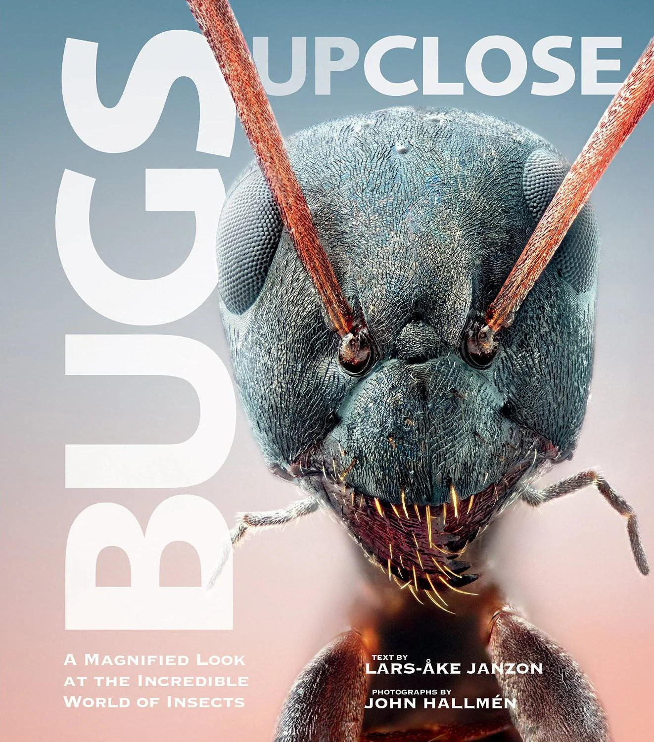 Book: Bugs Up Close
