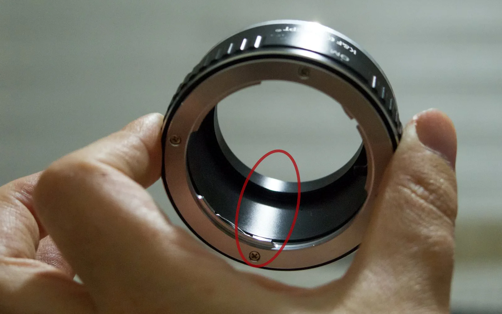 Taming the light - Internal reflection and contrast issues in macro photography