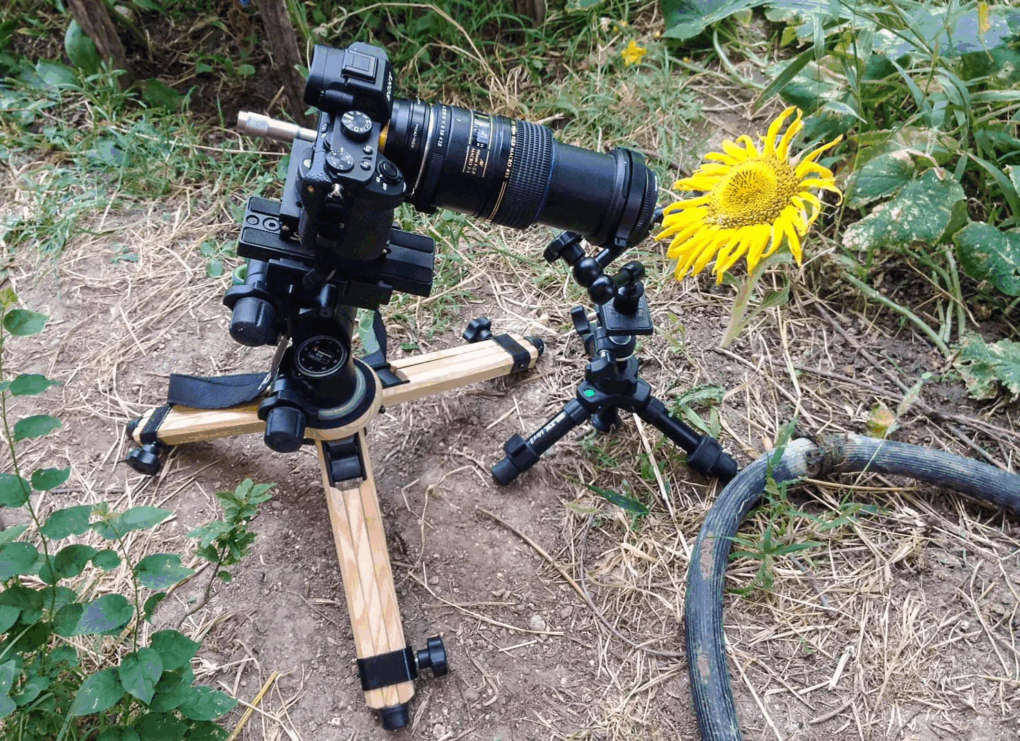 Using a polarizing filter in natural light